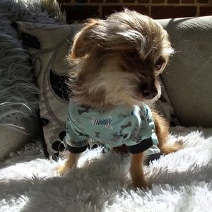 Pet pajamas